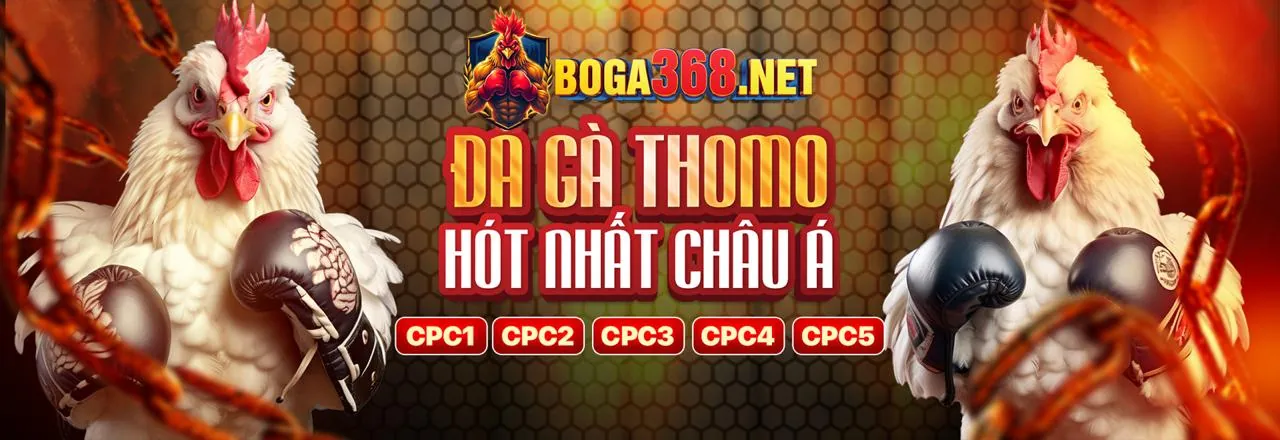 Tổng quan cá cược thể thao au88